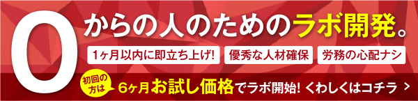 0からの人のためのラボ型開発